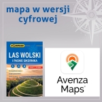 Las Wolski i Pasmo Sikornika - Avenza