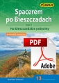 Spacerem po Bieszczadach 2 okladka 2023 PDF.jpg