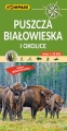Puszcza-Bialowieska-2021-folia.jpg