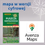 Puszcza Niepołomicka, Niepołomice - Avenza